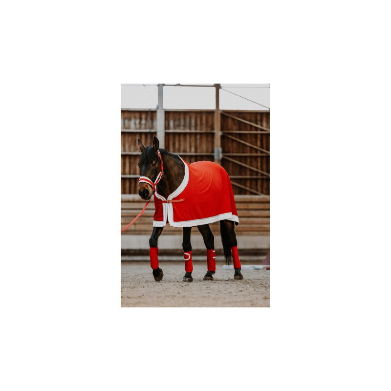 Chemise EQUITHÈME - Xmas