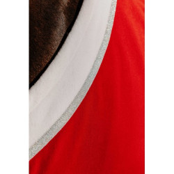 Chemise EQUITHÈME - Xmas