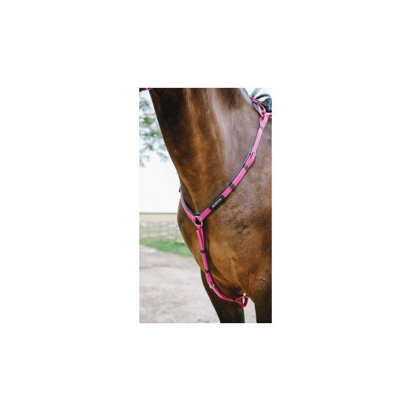Collier de chasse Endurance NORTON - Pop