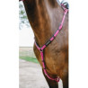 Collier de chasse Endurance NORTON - Pop