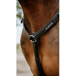 Collier de chasse Endurance NORTON - Pop