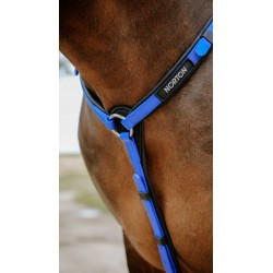 Collier de chasse Endurance NORTON - Pop