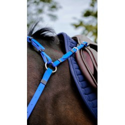 Collier de chasse Endurance NORTON - Pop