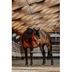 Licol + longe EQUITHÈME - Xmas