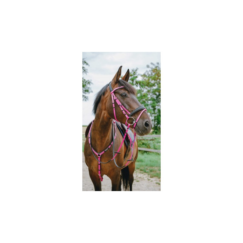 Bridon endurance NORTON - Pop