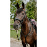 Bridon endurance NORTON - Pop