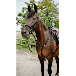 Bridon endurance NORTON - Pop