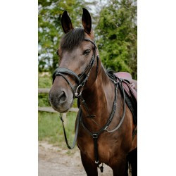 Bridon endurance NORTON - Pop