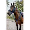 Bridon endurance NORTON - Pop