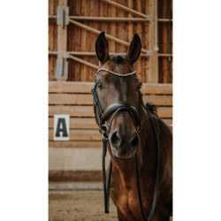 Bridon NORTON - Diams