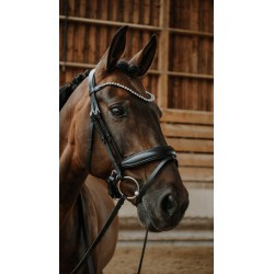 Bridon NORTON - Diams