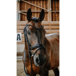 Bridon NORTON - Royal