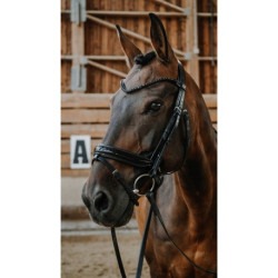 Bridon NORTON - Royal