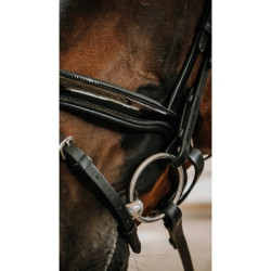 Bridon NORTON - Royal