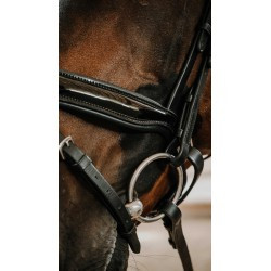 Bridon NORTON - Royal