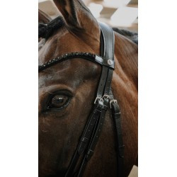 Bridon NORTON - Royal