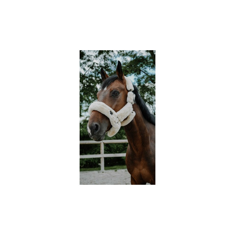 Licol Je t'aime EQUITHÈME - Snuggy