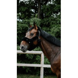 Licol Je t'aime EQUITHÈME - Snuggy