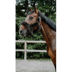 Licol Je t'aime EQUITHÈME - Snuggy