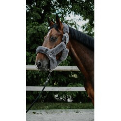 Licol Je t'aime EQUITHÈME - Snuggy