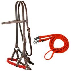 Side-pull & rênes plates fermées assorties