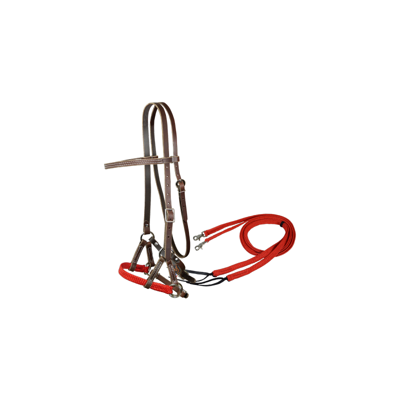 Side-pull & rênes plates ouvertes assorties