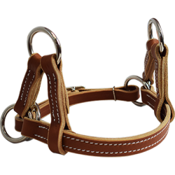 Nose-band cuir