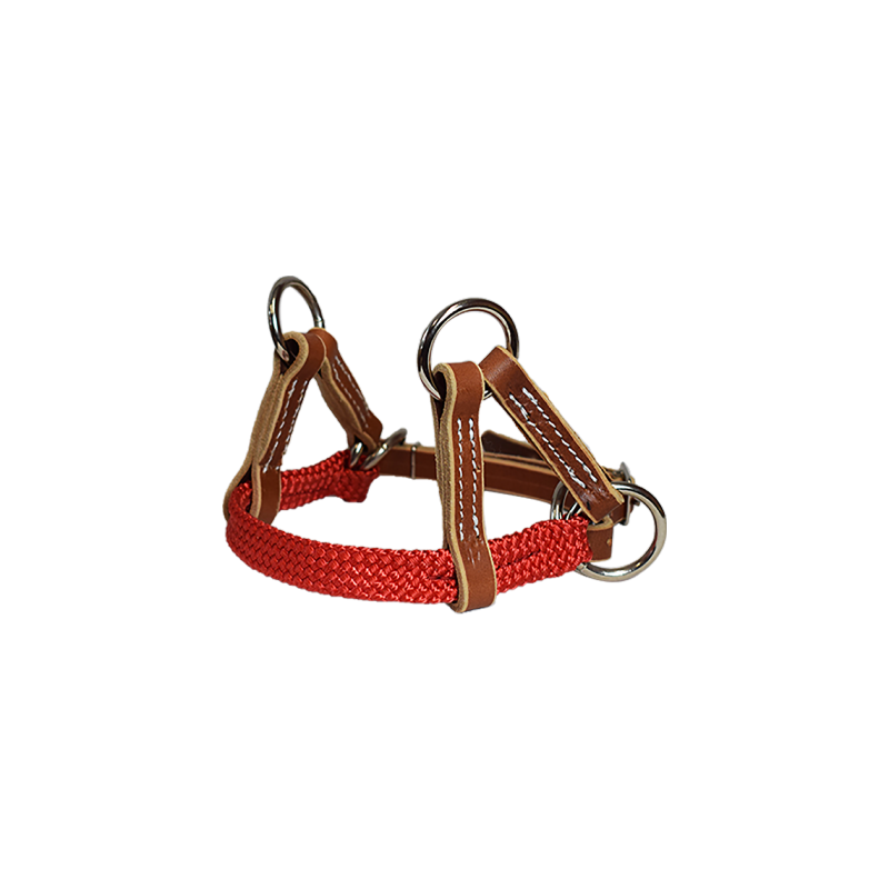 Nose-band cuir et sangle polytresse plate