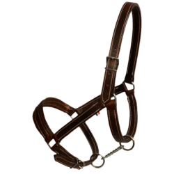 Licol cuir chromé cheval de trait