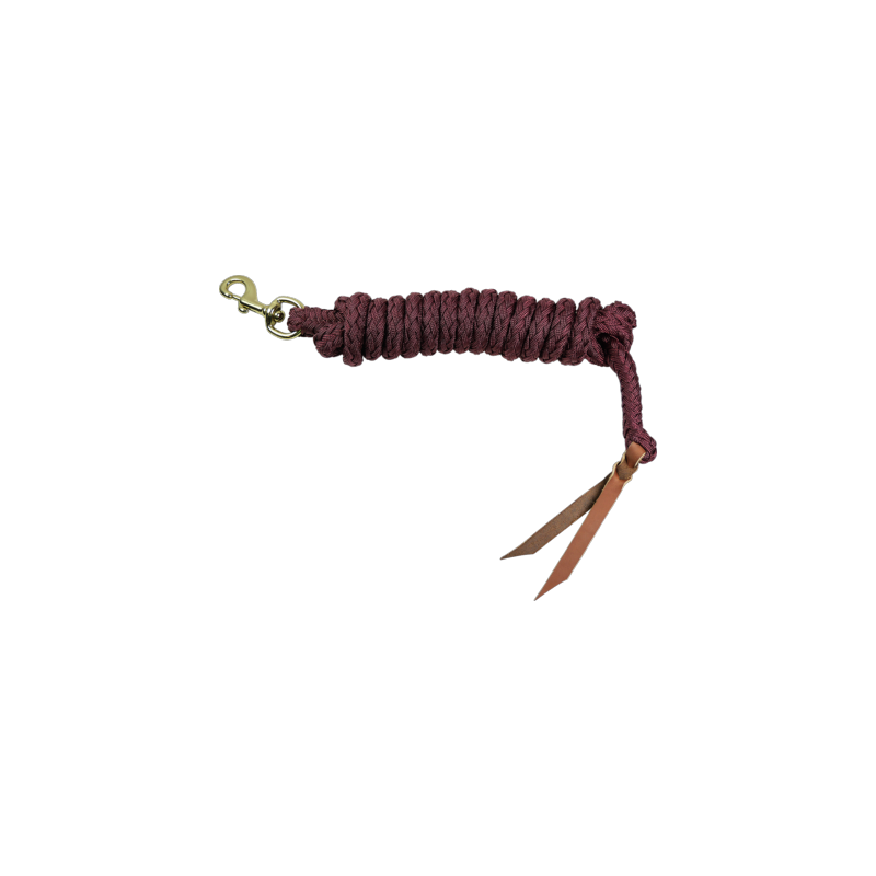 Longe éthologique avec mouqueton à tirette