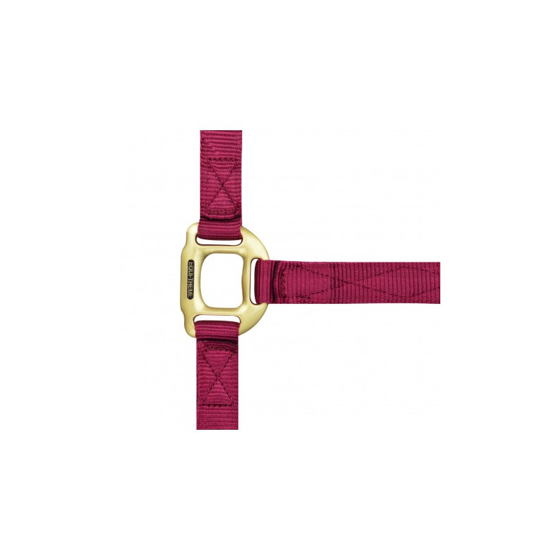 Licol EQUITHÈME - Nylon