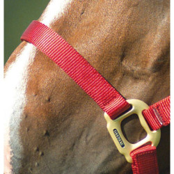 Licol EQUITHÈME - Nylon