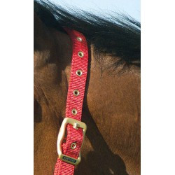 Licol EQUITHÈME - Nylon