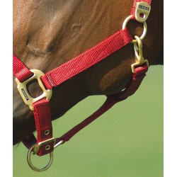 Licol EQUITHÈME - Nylon