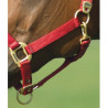 Licol EQUITHÈME - Nylon