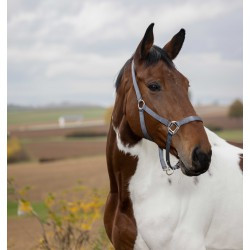 Licol EQUITHÈME - Nylon