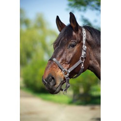 Licol EQUITHÈME - Nylon