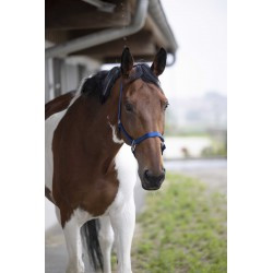 Licol EQUITHÈME - Nylon