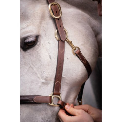 LICOL CUIR 3 MOUSQUET.