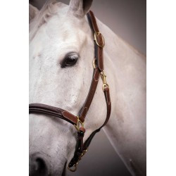 LICOL CUIR 3 MOUSQUET.