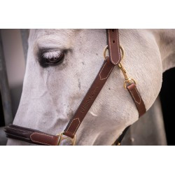 LICOL CUIR 3 MOUSQUET.