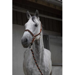 Licol + longe EQUITHÈME - Satiné