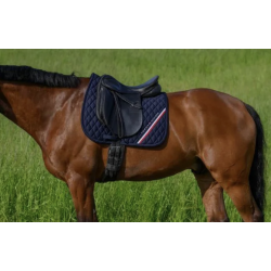 Tommy Hilfiger Equestrian Chabraque de saut Stanford