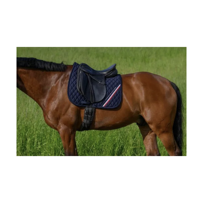 Tommy Hilfiger Equestrian Chabraque de saut Stanford