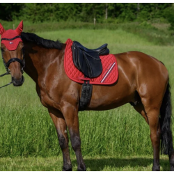 Tommy Hilfiger Equestrian Chabraque de saut Stanford