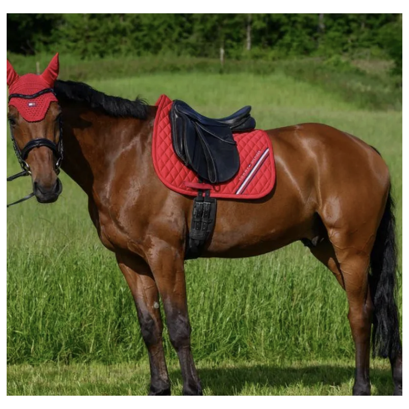 Tommy Hilfiger Equestrian Chabraque de saut Stanford